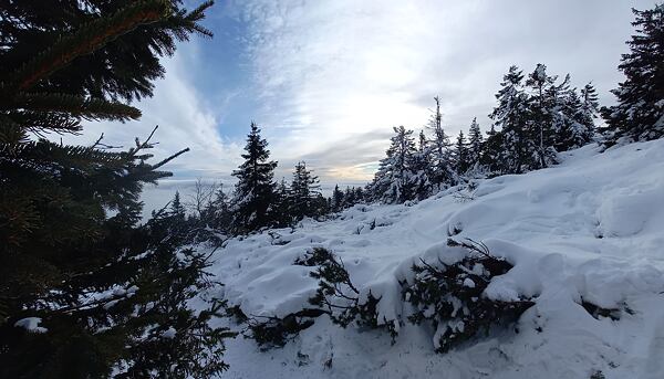 Žena v zimnej bunde Husky