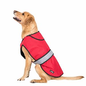dukex-uuacptn30008-red-l01