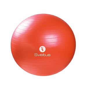 Fitness Gymball 65 cm - red polybag