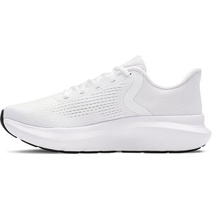 Pánska obuv Under Armour Charged Rogue 5