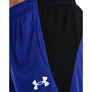 Pánske kraťasy Under Armour Baseline 10in Short