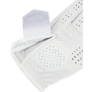 Pánska golfová rukavica Under Armour Tour Golf Glove