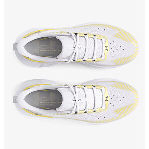 Dámské boty Under Armour Infinite Pro