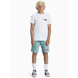 Chlapecké šortky Quiksilver EASY DAY