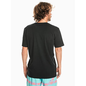 Pánské triko Quiksilver MW MINI