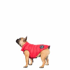 dogby-uuacpto10002-pxr-s01