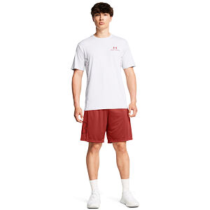 Pánske kraťasy Under Armour Tech Graphic Short
