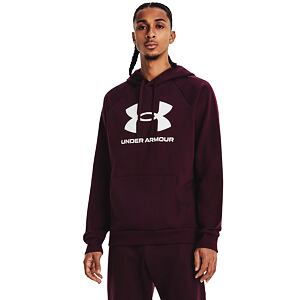 Pánska mikina Under Armour Rival Fleece Logo HD