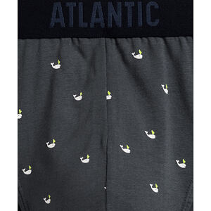 Pánské sportovní slipy ATLANTIC 3Pack