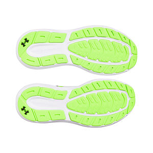 Pánska obuv Under Armour Charged Rogue 5