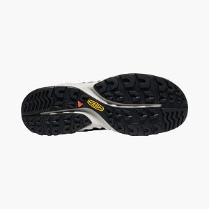 Pánska športovo-outdoorová obuv Keen NXIS Evo Mid WP MAN