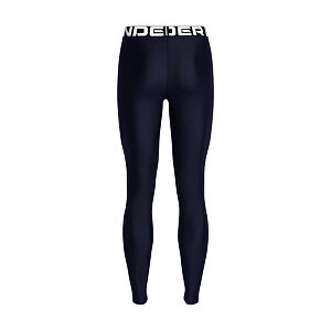Dámske legíny Under Armour HG Authentics Legging