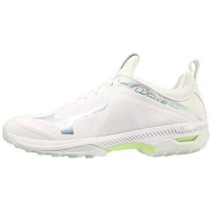 Unisex športová obuv Mizuno Wave Panthera