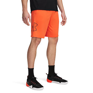 Pánské kraťasy Under Armour Tech Graphic Short