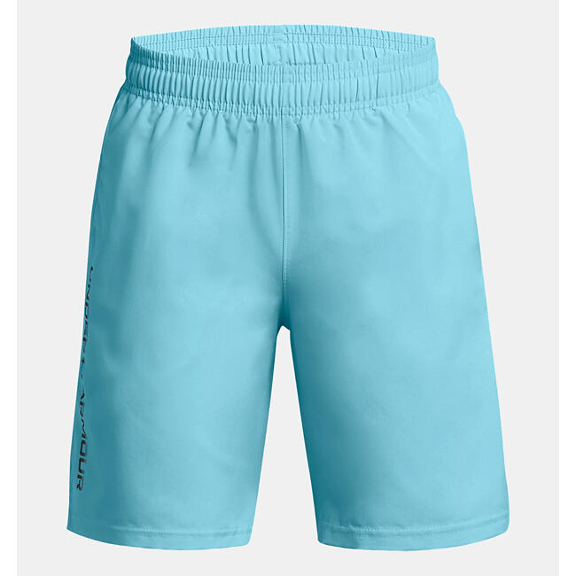Chlapecké kraťasy Under Armour Tech Woven Wordmark Short