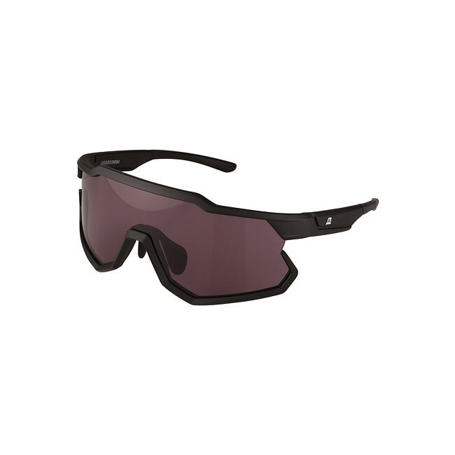 Unisex sluneční brýle ALPINE PRO SIARE