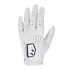 Pánska golfová rukavica Under Armour Tour Golf Glove