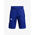 Chlapecké kraťasy Under Armour Baseline Short