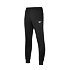 Dámske športové tepláky Mizuno Core TR Pant