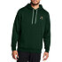 Pánská mikina Under Armour Icon Goin' Undr Hoodie