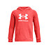 Chlapčenská mikina Under Armour Rival Fleece BL Hoodie