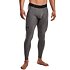 Pánske zimné kompresné legíny Under Armour CG Armour Leggings