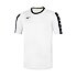 Pánske športové tričko Mizuno Nara Training Tee M