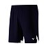 Pánske kraťasy Mizuno Premium Handball Short M