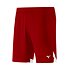 Detské kraťasy Mizuno Premium Handball Short Jr