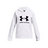 Dievčenská mikina Under Armour Rival Fleece BL Hoodie