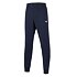 Pánské tepláky Mizuno Men Sweat Pant