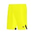 Pánske kraťasy Mizuno Premium Handball Short M